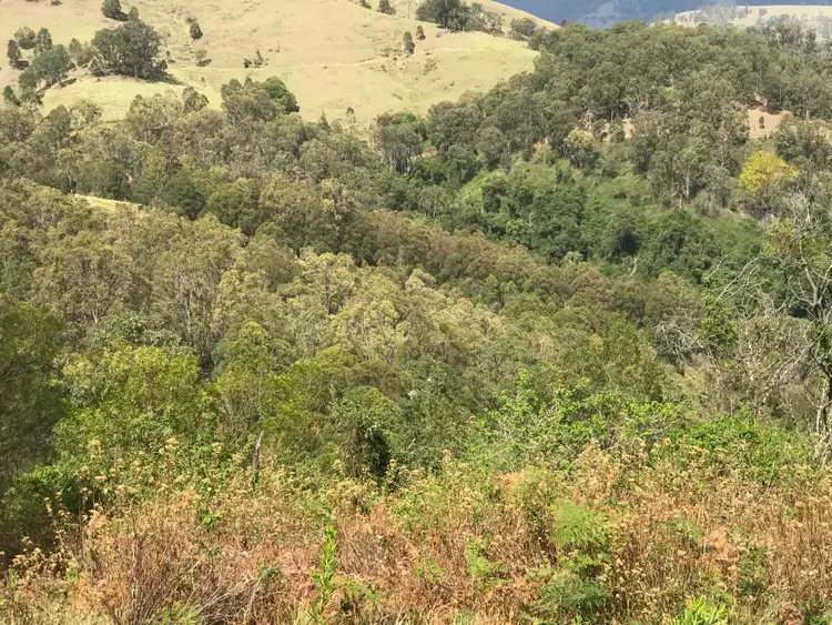 Fifth view of Homely rural property listing, 78 Masseys Creek Road, Eccleston Via, East Gresford NSW 2311