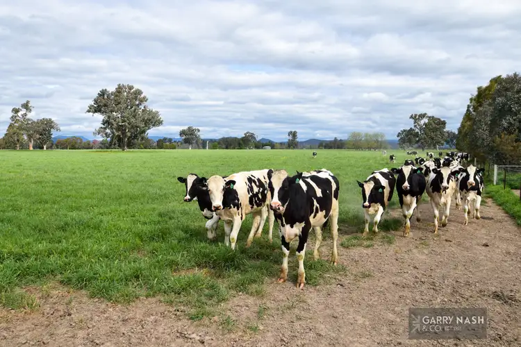 Fourth view of Homely rural property listing, 2355 Glenrowan-Moyhu Road, Moyhu VIC 3732