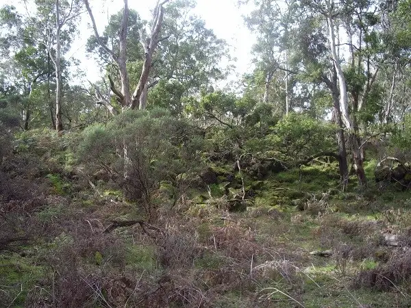 Fourth view of Homely rural property listing, 405 and 415 Scoullers Road, Carpendeit VIC 3260