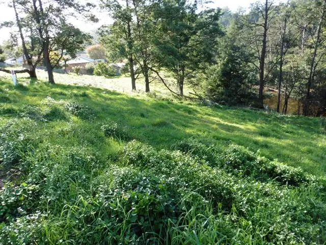 Fourth view of Homely land listing, * Main Street, Derby TAS 7264