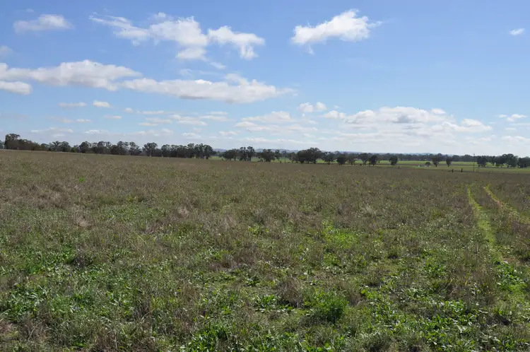 Second view of Homely rural property listing, 2754 Henry Lawson Drive, Gulgong NSW 2852