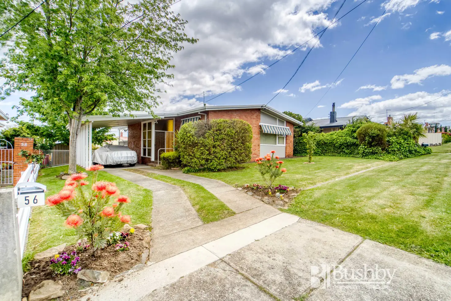 Main view of Homely house listing, 56 Cornwall Crescent, Newnham TAS 7248
