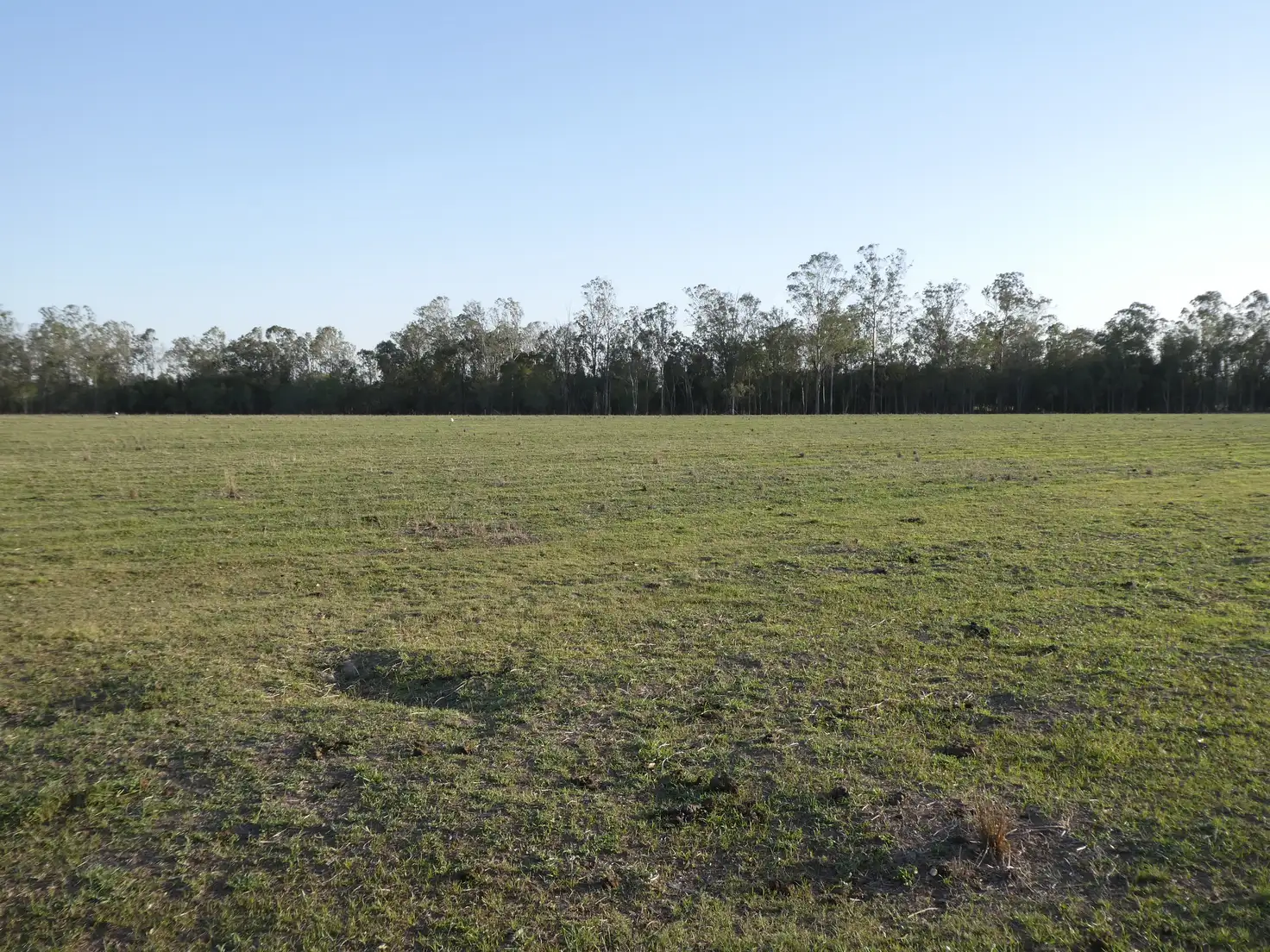 Main view of Homely rural property listing, 70 Cloyne Road, Drinan QLD 4671