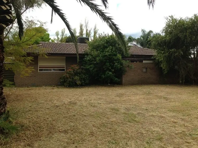 36 Clovertree Street, Maddington WA 6109