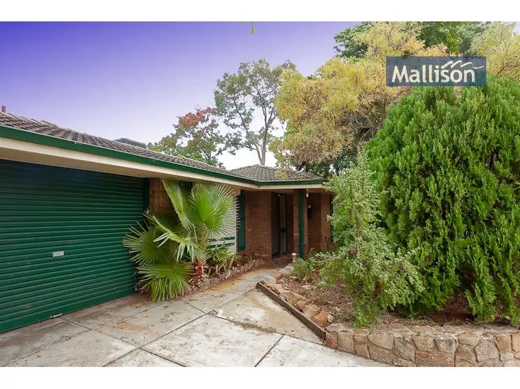Main view of Homely house listing, 66 Grenadier Drive, Thornlie WA 6108