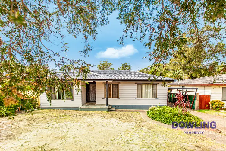 20 Tea Tree Drive, Medowie NSW 2318