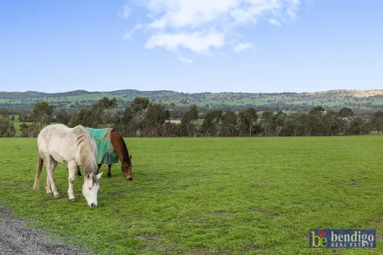Fifth view of Homely rural property listing, 119 - 121 Calder Alternate Highway, Ravenswood VIC 3453