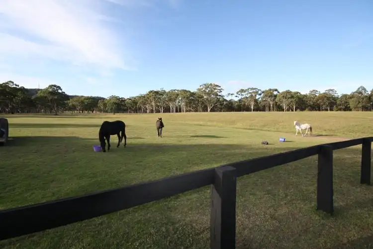 Third view of Homely rural property listing, 255 Rosemount Road, Denman NSW 2328
