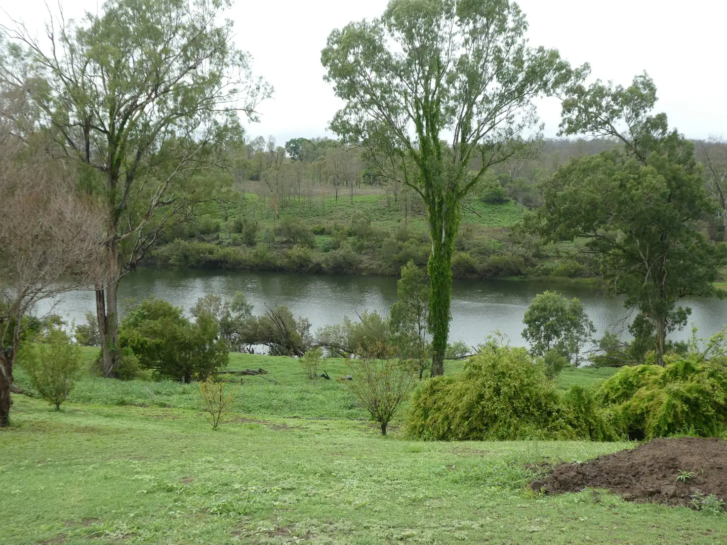 Main view of Homely rural property listing, 192 TATCHKES ROAD, Good Night QLD 4671