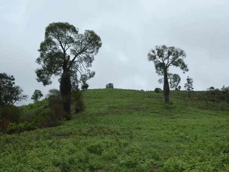 Third view of Homely rural property listing, 192 TATCHKES ROAD, Good Night QLD 4671