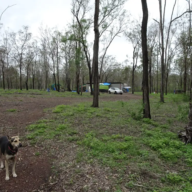 Main view of Homely rural property listing, 626 Ringwood Rd, Booyal QLD 4671