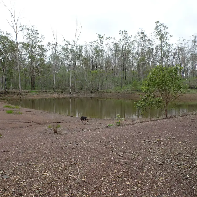 Fourth view of Homely rural property listing, 626 Ringwood Rd, Booyal QLD 4671