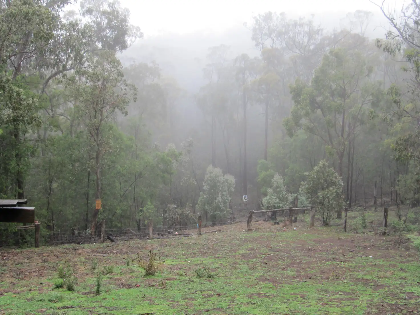 Main view of Homely rural property listing, 131A Stirrup Iron Road, Briagolong VIC 3860