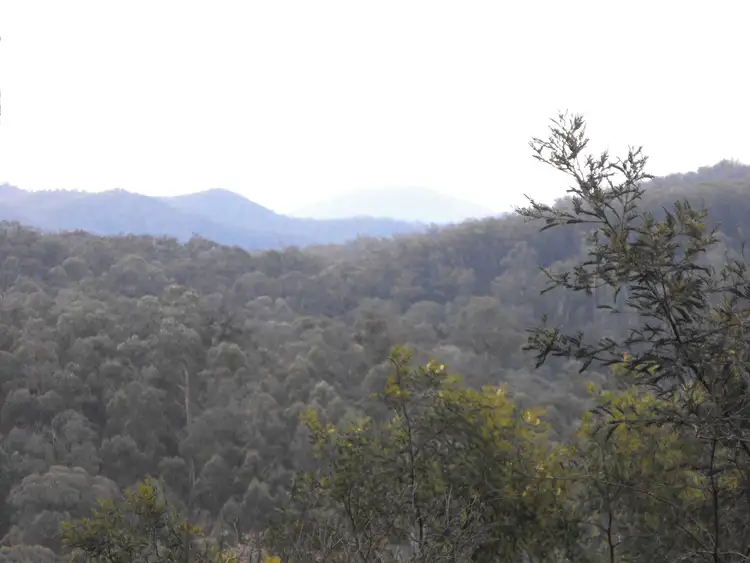 Second view of Homely rural property listing, 131A Stirrup Iron Road, Briagolong VIC 3860