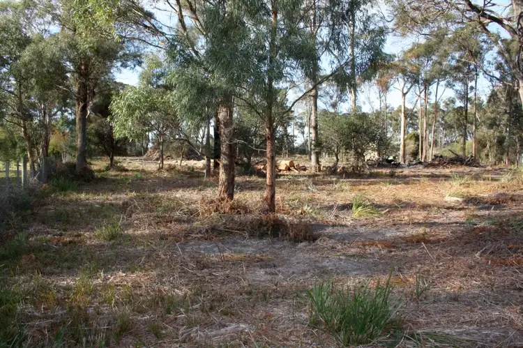 117 Panatana Drive, Port Sorell TAS 7307