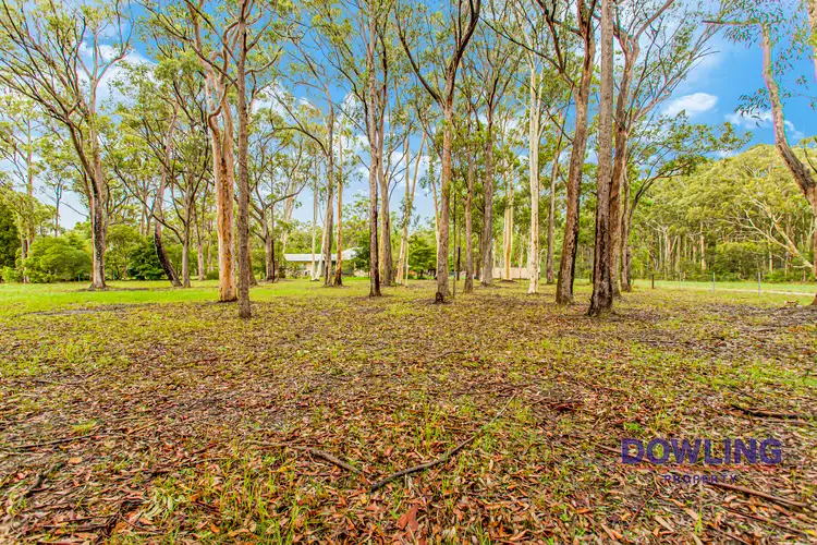 Fourth view of Homely land listing, 43B KULA ROAD, Medowie NSW 2318