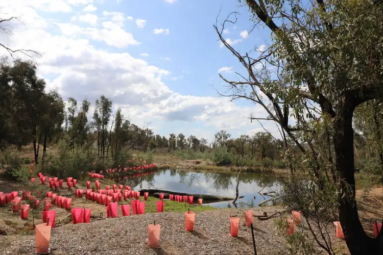 Fifth view of Homely land listing, 120 Widgiewa Road, Carwoola NSW 2620