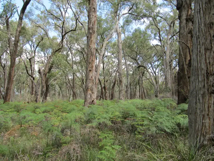 Main view of Homely rural property listing, LOT 1 Anderson's Lane, Stradbroke VIC 3851