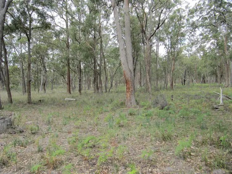 Second view of Homely rural property listing, LOT 1 Anderson's Lane, Stradbroke VIC 3851