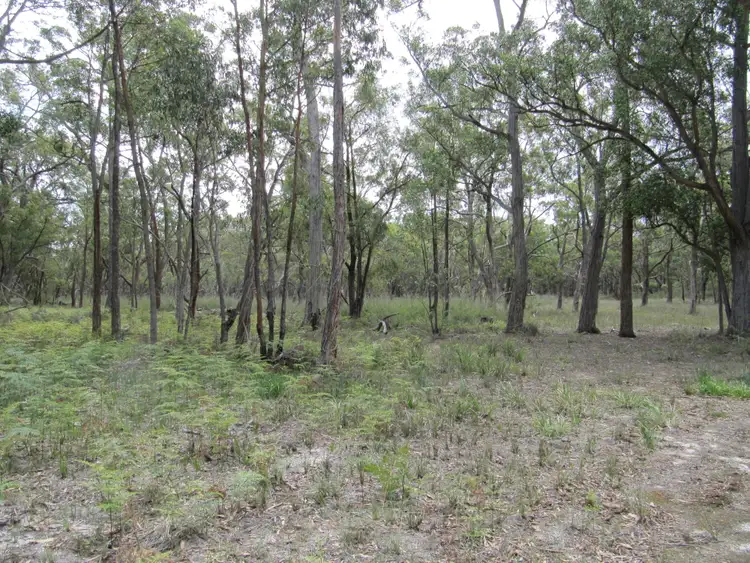Fourth view of Homely rural property listing, LOT 1 Anderson's Lane, Stradbroke VIC 3851