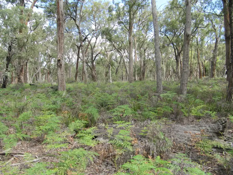 Seventh view of Homely rural property listing, LOT 1 Anderson's Lane, Stradbroke VIC 3851