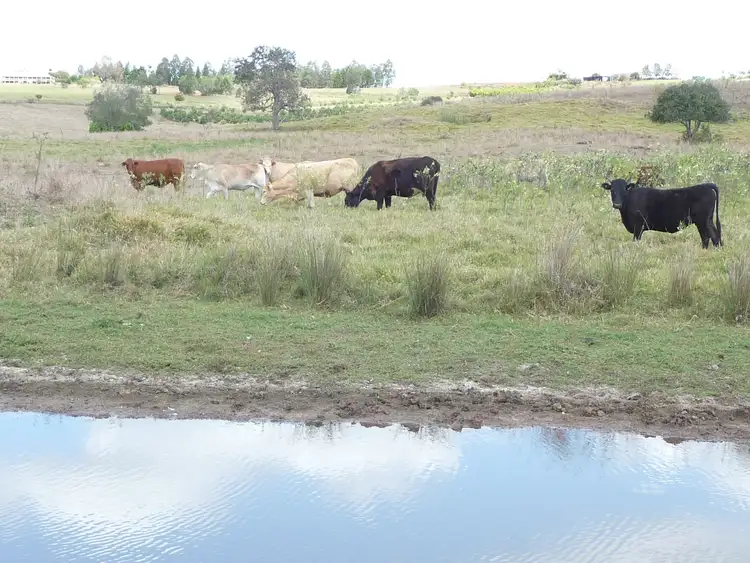 Fifth view of Homely rural property listing, LOT 1 HAWES ROAD, North Isis QLD 4660