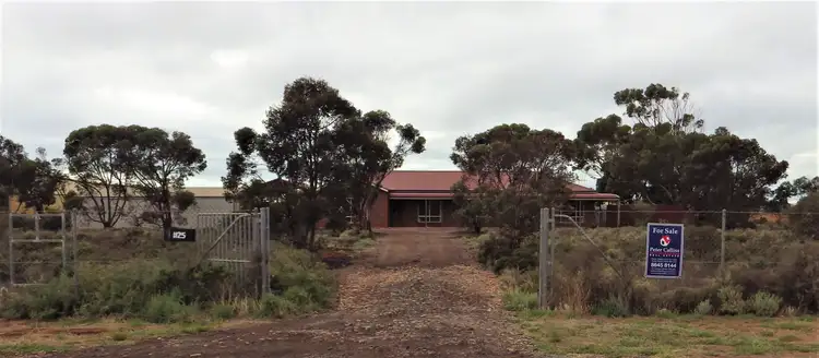 25 MULLAQUANA ROAD, Whyalla SA 5600