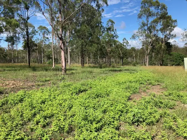 Second view of Homely land listing, 5 Settlers Court, Maroondan QLD 4671