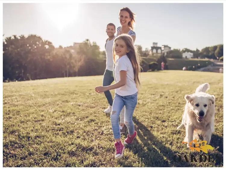 Third view of Homely land listing, LOT 10, Stage 6 Oakden Park, Youngtown TAS 7249