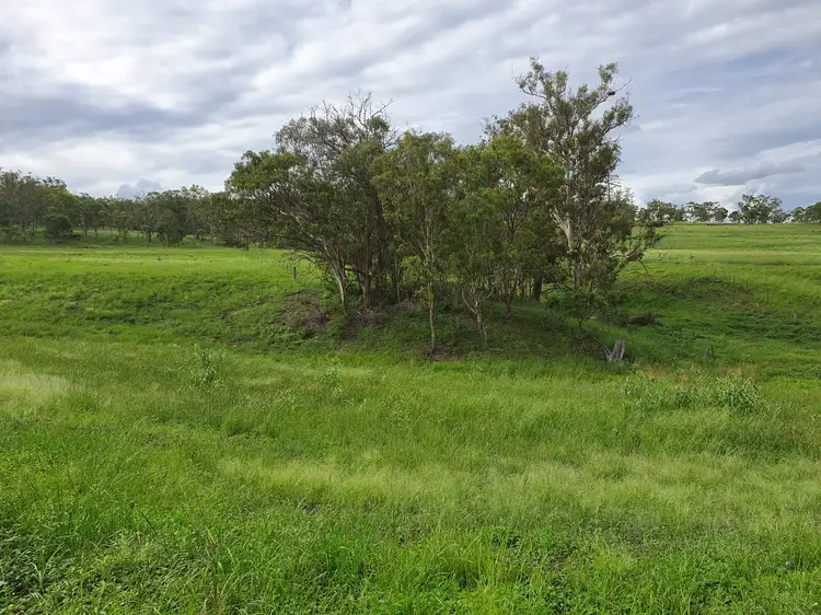 Fourth view of Homely rural property listing, 12730 Cunningham Highway, Warwick QLD 4370