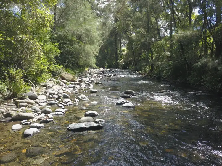 Fifth view of Homely rural property listing, 2441 Salisbury Road, Dungog NSW 2420