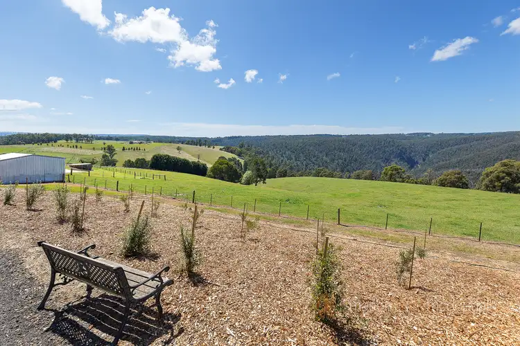Main view of Homely land listing, 175 Coombs Road, Kinglake West VIC 3757