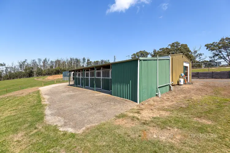 Fifth view of Homely land listing, 175 Coombs Road, Kinglake West VIC 3757