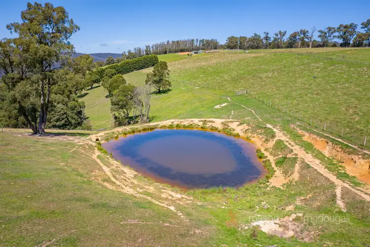 Seventh view of Homely land listing, 175 Coombs Road, Kinglake West VIC 3757