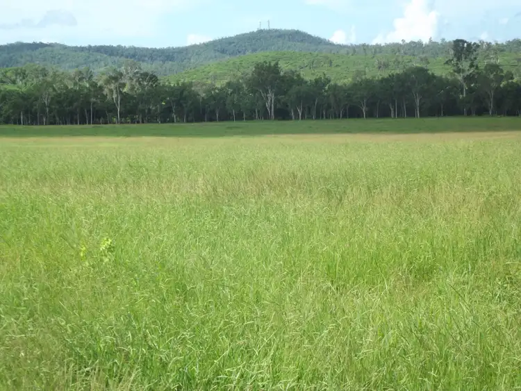 Sixth view of Homely rural property listing, 6 Cathu-O'Connell River Road, Yalboroo QLD 4741