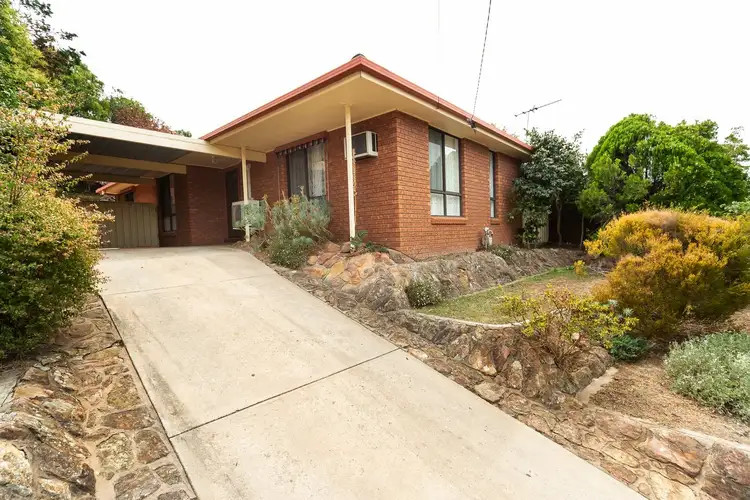 Main view of Homely house listing, 21 Michelle Avenue, Lavington NSW 2641