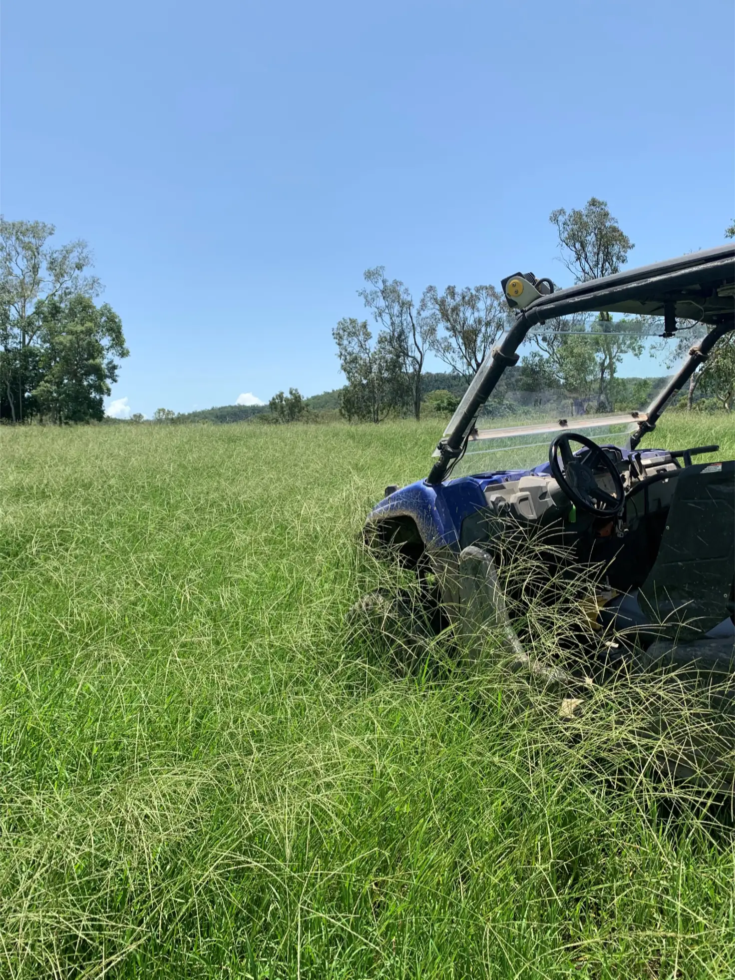 Main view of Homely rural property listing, Address available on request