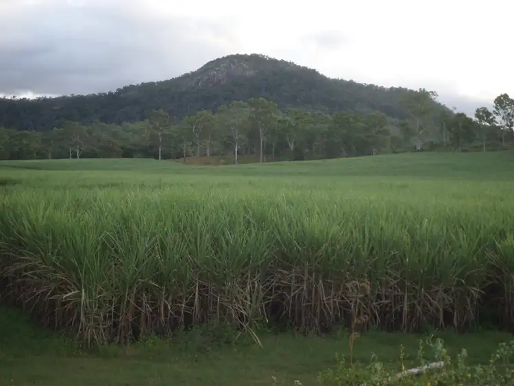 Fifth view of Homely rural property listing, Address available on request