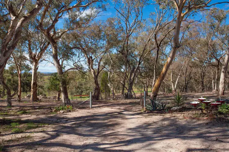 59 Phillipa Lane, Wellington NSW 2820