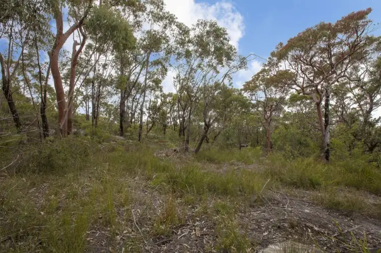 Fifth view of Homely land listing, 49 Sir Henrys Parade, Faulconbridge NSW 2776