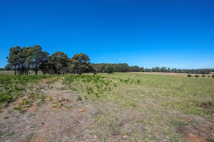 Fifth view of Homely land listing, LOT 3, 1350 Whittlesea Yea Road, Kinglake West VIC 3757