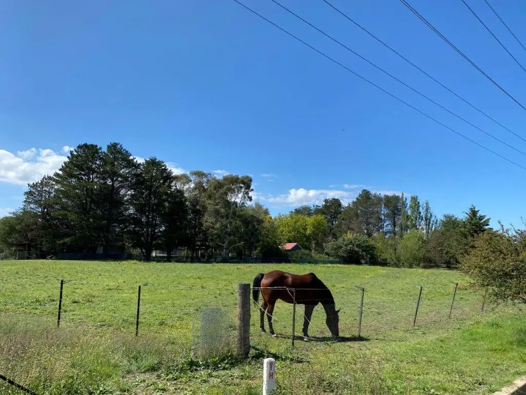 Main view of Homely house listing, 79 Myack Street, Berridale NSW 2628
