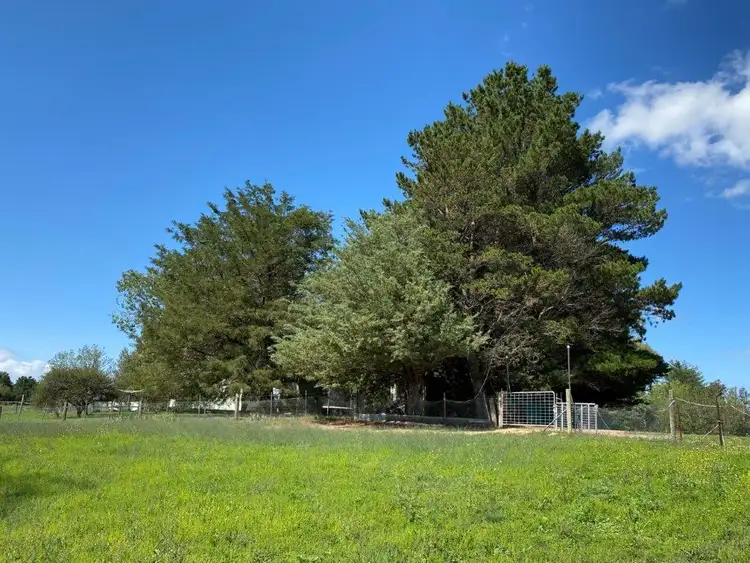 Third view of Homely house listing, 79 Myack Street, Berridale NSW 2628