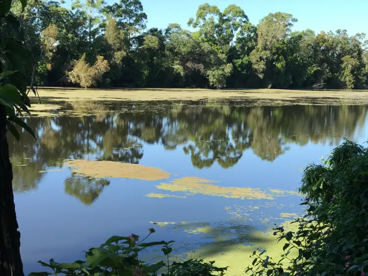 Third view of Homely rural property listing, LOT 1001, 26 Langlands Road, Glen Oak NSW 2320