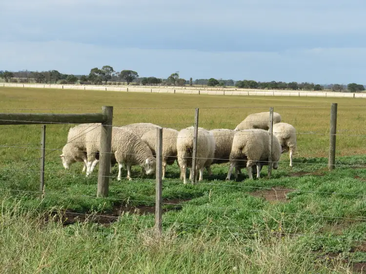 Sixth view of Homely rural property listing, LOT CA 25A Marlay Point Road, Clydebank VIC 3851