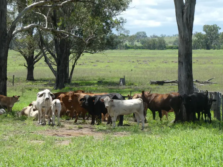 Fourth view of Homely rural property listing, Address available on request