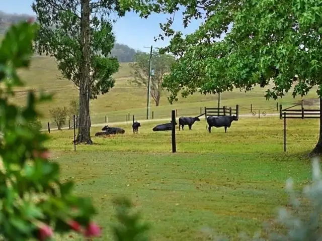 Fourth view of Homely rural property listing, 1279 Mill Creek Road, Stroud NSW 2425