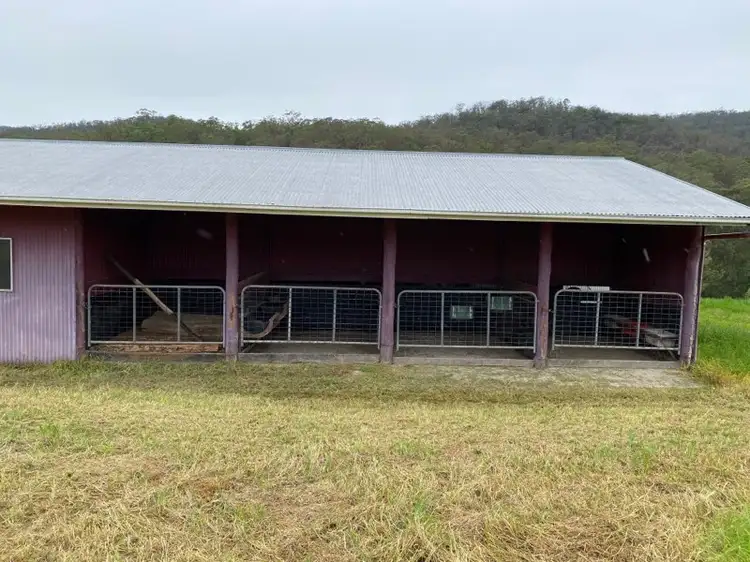 Fifth view of Homely rural property listing, 1279 Mill Creek Road, Stroud NSW 2425