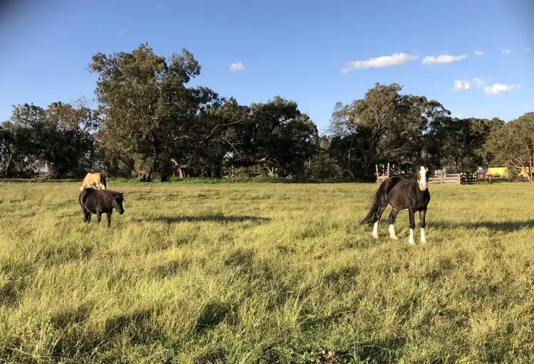 Third view of Homely land listing, 1052 Cullingral Road, Merriwa NSW 2329