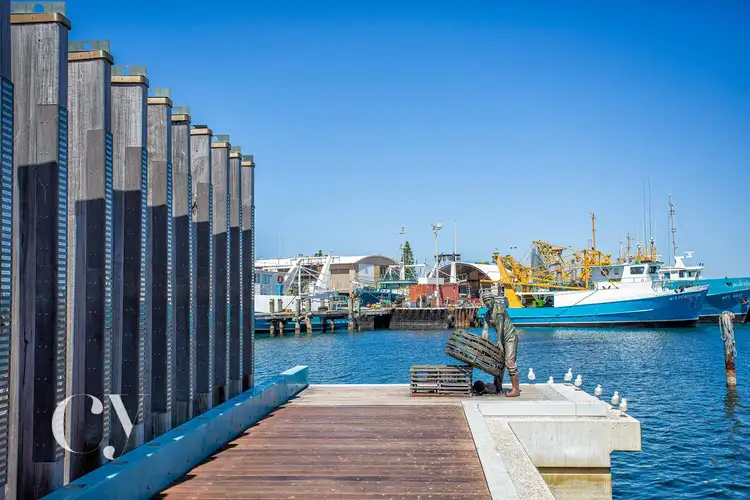 Seventh view of Homely house listing, 15 Wray Avenue, Fremantle WA 6160